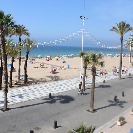 Las Palmeras - Zand Properties Benidorm Exterior foto